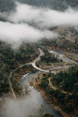Fog Framed Road in the hills of California