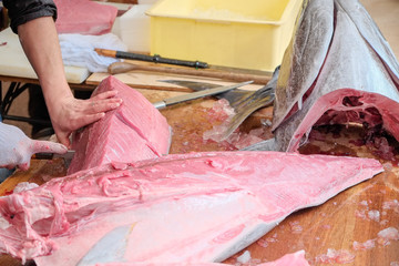 マグロの解体