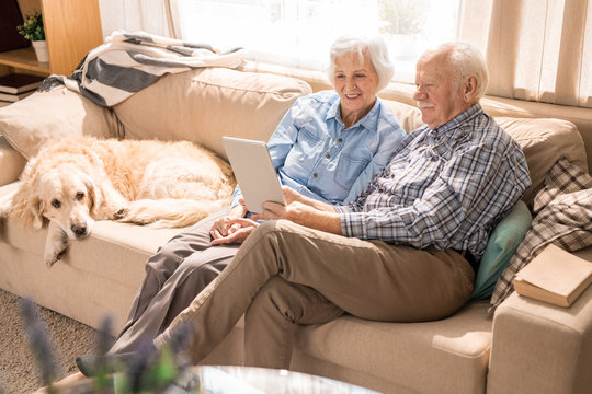Full length portrait of modern senior couple using laptop while sitting with dog on couch at home