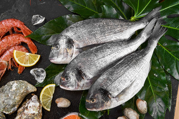 assorted fresh fish on black background