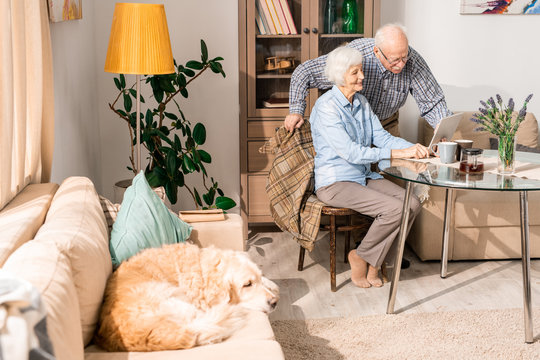 Full length portrait of modern senior couple using laptop sitting at table at home with pet dog in foreground, copy space