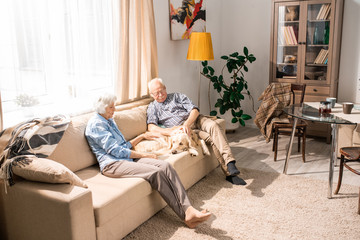 Full length portrait of happy senior couple cuddling with dog sitting on couch in sunlight, copy space