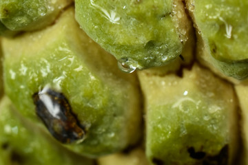 Exotic Brazilian fruit as known as 