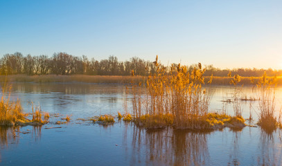 Frozen lake in the light of sunrise below a blue sky in winter