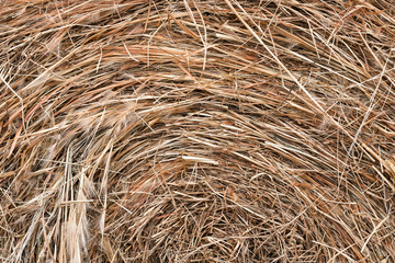 Bale of Hay close up - Background 