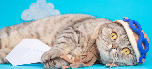 Lying cute cat in a pilot's hat with glasses and a scarf, with an airplane. Funny cat