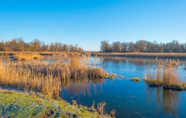 Frozen lake in the light of sunrise below a blue sky in winter