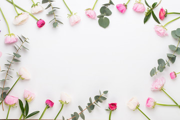 Naklejka na ściany i meble Beautiful colored ranunculus flowers on a white background.Spring greeting card.