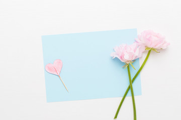 Obraz premium Beautiful colored ranunculus flowers on a white background.Spring greeting card.