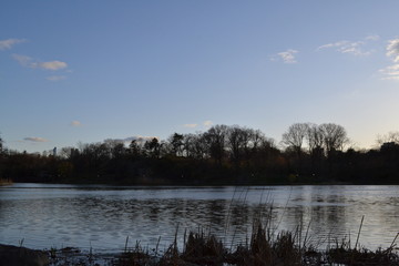 Fototapeta premium lake in winter