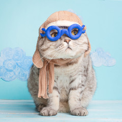 Very funny cat pilot of an airplane with glasses and a pilot's hat, against a background of clouds. A concept of funny and funny animals
