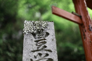 苔むした石碑