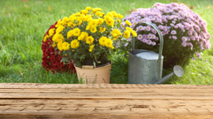 Wooden table and blurred view of garden with blooming flowers ans watering can on background. Space for text