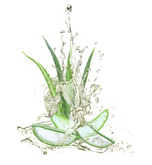 Aloe vera slices on white background - obrazy, fototapety, plakaty