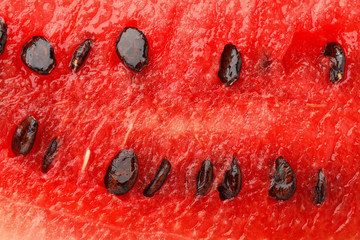 Sliced ripe watermelon as background, closeup