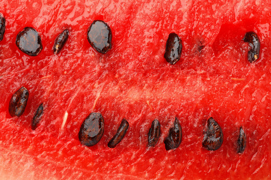 Sliced ripe watermelon as background, closeup