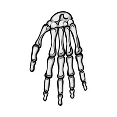 Vector design of bone and skeleton symbol. Collection of bone and human vector icon for stock.