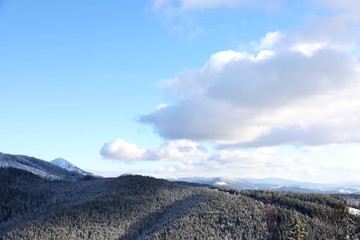 Beautiful mountain landscape with forest on sunny day in winter
