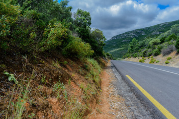 Road and mountain in green environment in the Serra da Arrábida Natural Park, Setúbal - Portugal