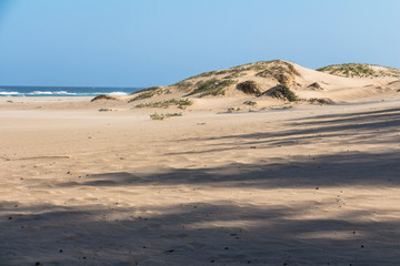Fototapeta na wymiar Sand dunes of St. Lucia in South Africa
