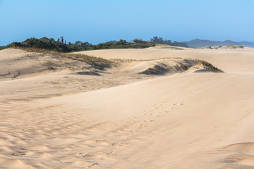 Sand dunes of St. Lucia in South Africa