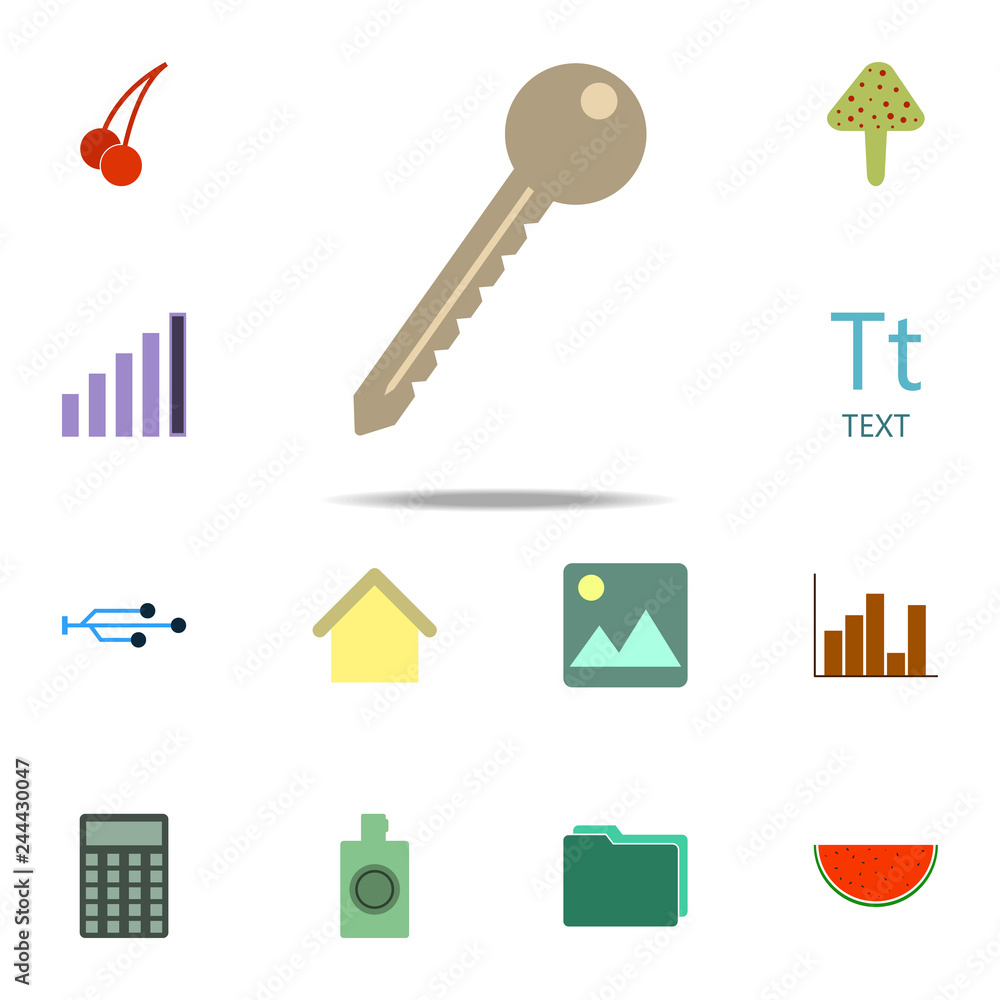 Poster key icon. color web icons universal set for web and mobile