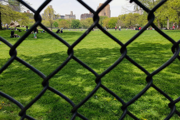 Fototapeta premium Close view of the fence in the central park on the lawn where adults and children walk. View through the iron grid to the clearing where people walk