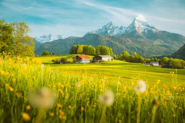 Foto auf Acrylglas Idyllische Landschaft in den Alpen mit blühenden Wiesen im Frühling © JFL Photography