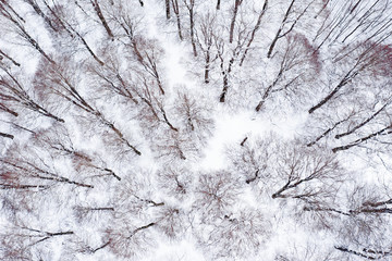 Aerial view of a beautiful Italian snowy forest. Winter season in Italy. National Park of Abruzzo,...