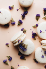 Composition of delicious macaroons and purple flowers 