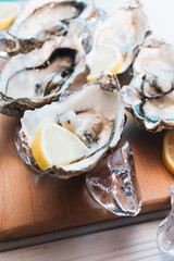 Delicious oysters with lemon, seafood delicacy