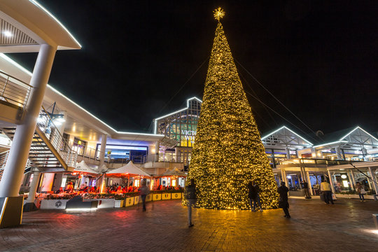 Christmas tree at V&A Waterfront, Cape Town