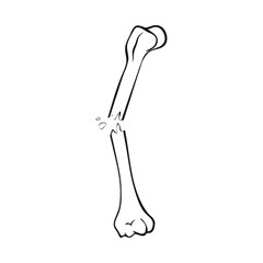 Vector illustration of bone and skeleton sign. Collection of bone and human stock symbol for web.