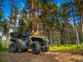 ATV. Sunny day. SUV in the forest. All-terrain vehicle. Kvadro Motorcycle. Entertainment in nature. Yellow ATV.