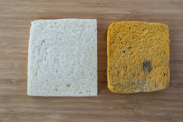 Backgrounds Top view Expired bread moldy