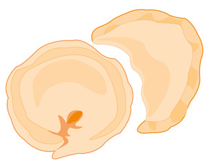 Meal meat dumplings on white background insulated