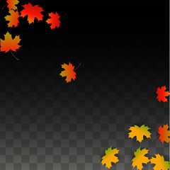 September Vector Background with Golden Falling Leaves. Autumn Illustration with Maple Red, Orange, Yellow Foliage. Isolated Leaf on Transparent Background. Bright Swirl. Suitable for Posters.