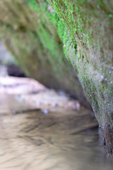 Rock with moss on creekbank
