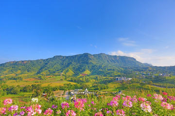 Fototapeta premium Beautiful mountain landscape with mountain forest and blue sky in Thailand.
