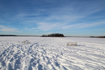 Winter On The Lake, Elk Island National Park, Alberta