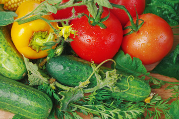 Tomatoes, peppers and cucumbers with leaves and flowers