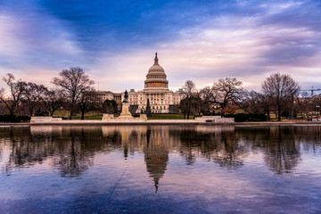 Early morning U.S. Capitol - 244453437