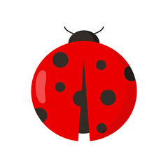 Lady bug on white background for graphic and web design, Modern simple vector sign. Internet concept. Trendy symbol for website design web button or mobile app