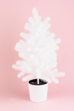 White Artificial Christmas Tree On Pink Background