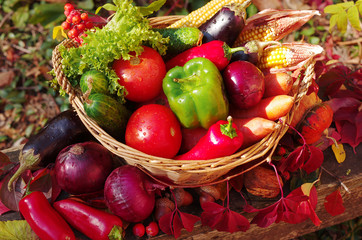 Vegetables in a basket. Cabbage, pepper, tomato, cucumber, onion, 