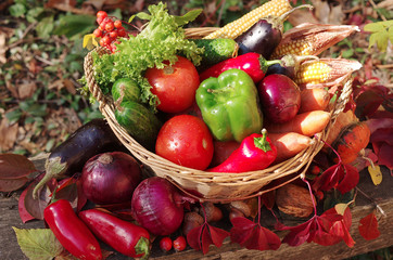 Vegetables in a basket. Cabbage, cauliflower, cucumbers, tomatoes, peppers, corn, onions, carrots.