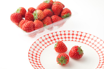 いちご　スタジオ撮影