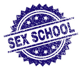 SEX SCHOOL stamp seal watermark with distress style. Blue vector rubber print of SEX SCHOOL text with scratched texture.