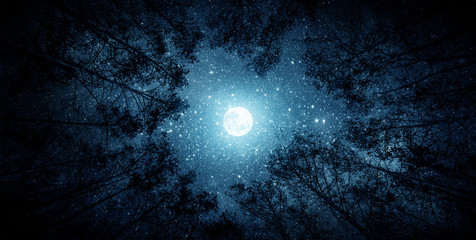 Mooie nachtelijke hemel, de Melkweg, de maan en de bomen. Elementen van deze afbeelding geleverd door NASA.