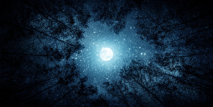 Naklejka Piękne nocne niebo, Droga Mleczna, księżyc i drzewa. Elementy tego obrazu dostarczone przez NASA.